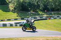 Lower Group Green Bikes